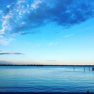 LIKE THIS POST TO BE NOTIFIED OF MY FUTURE POSH SHOWS. THANK YOU!!